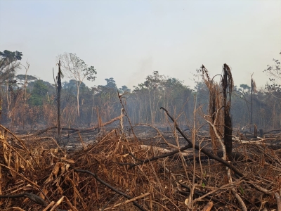 Comunidades agricultoras de Roraima sofrem com a seca e as queimadas acima do normal na região amazônica