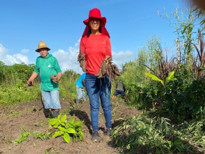 Na semana do meio ambiente, comunidade Padre Tiago faz mutirão para colheita de alimentos biortificados e agroecológicos