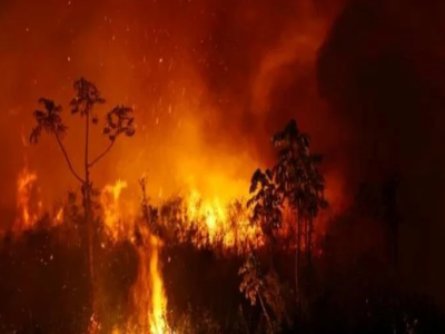 Articulação Agro é Fogo promove incidência política sobre o processo de devastação no Pantanal