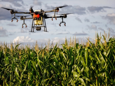 Governo do Ceará libera pulverização de agrotóxicos por drones, alterando a Lei Zé Maria do Tomé