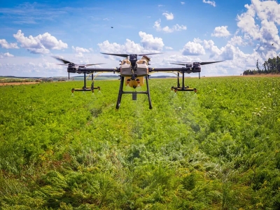 CHUVA DE VENENO: Comunidade Tradicional Curva, em São Mateus (MA), é atingida por agrotóxicos através de drone