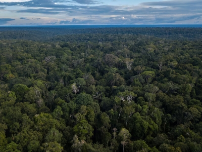 Fórum Popular Socioambiental de Mato Grosso emite Nota Pública contra projeto de lei que altera áreas de transição da Amazônia para o Cerrado