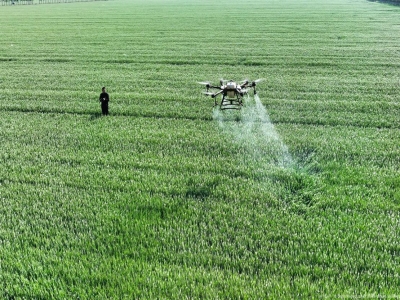 Alerta: Glifosato liberado para pulverização aérea no Maranhão!