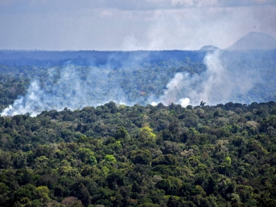 Repasse de terras da União para o Estado do Amapá legaliza a grilagem e favorece ainda mais o avanço do agronegócio 