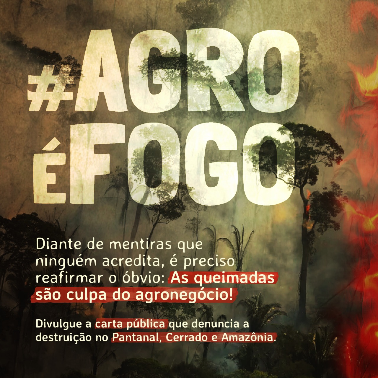 Cinco mentiras que contaram para você sobre o agronegócio - DefesaNet