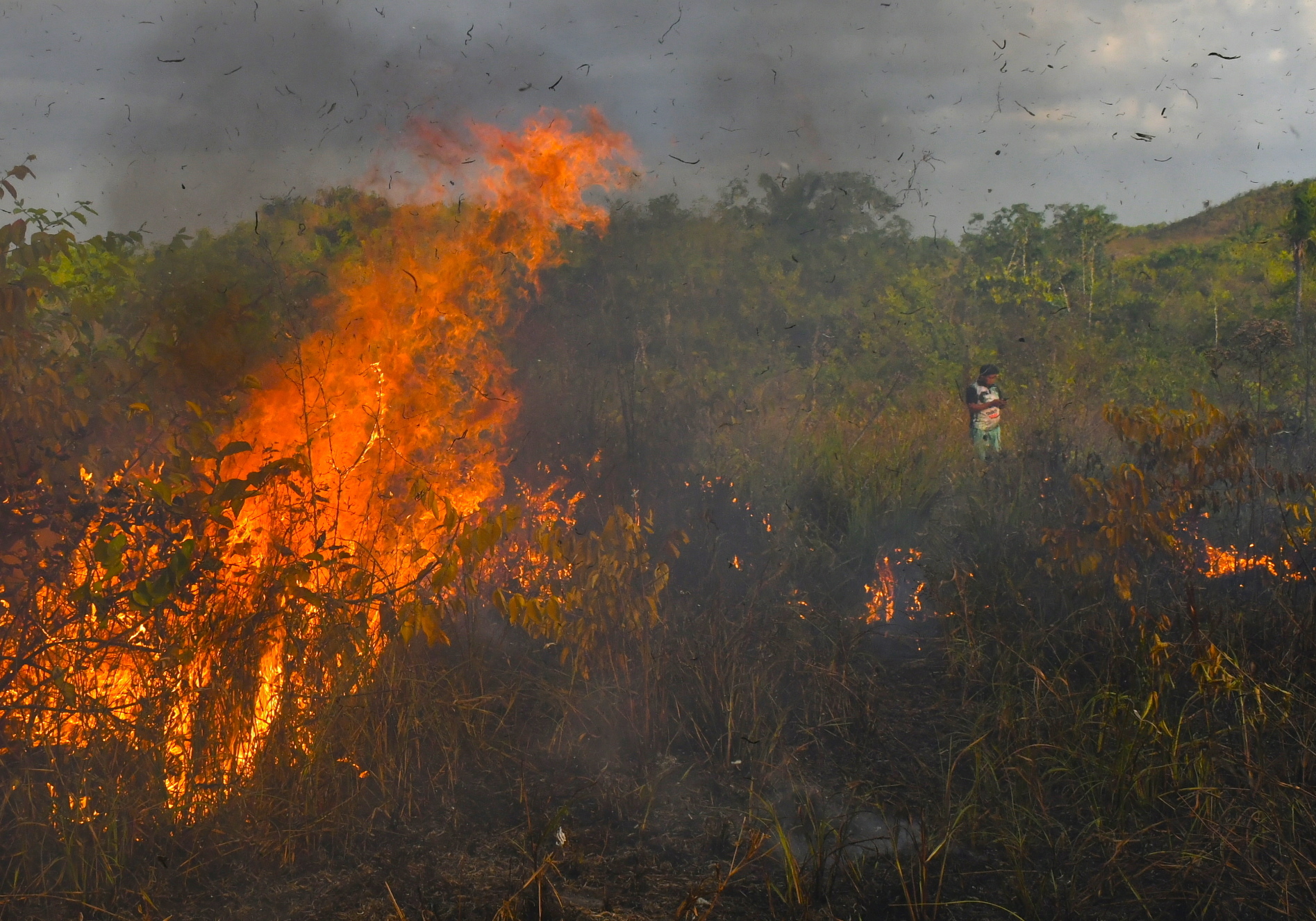 No ano do fogo, brigadas resistem na proteção dos territórios e da biodiversidade