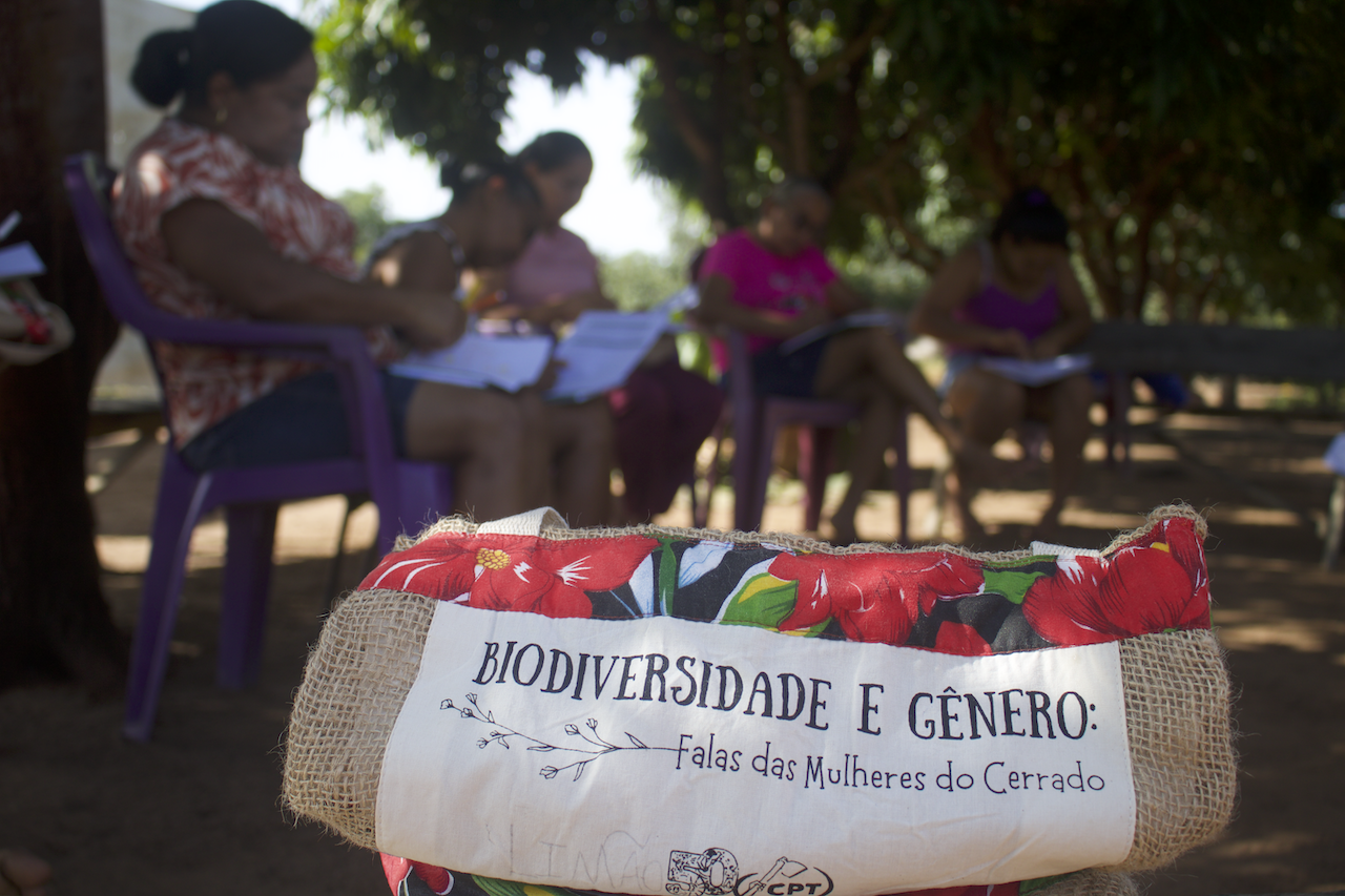 Gênero e Biodiversidade: Mulheres, corpos-territórios e dores que transmutam em resistência