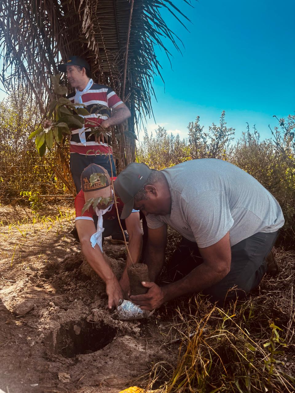 Plantio de mudas de árvores, cada uma em memória de uma vítima do Massacre de Pau D'Arco e de violências que aconteceram posteriormente. Foto: Andreia Silvério