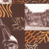 Revista Cerrados - 1ª ed (2018)