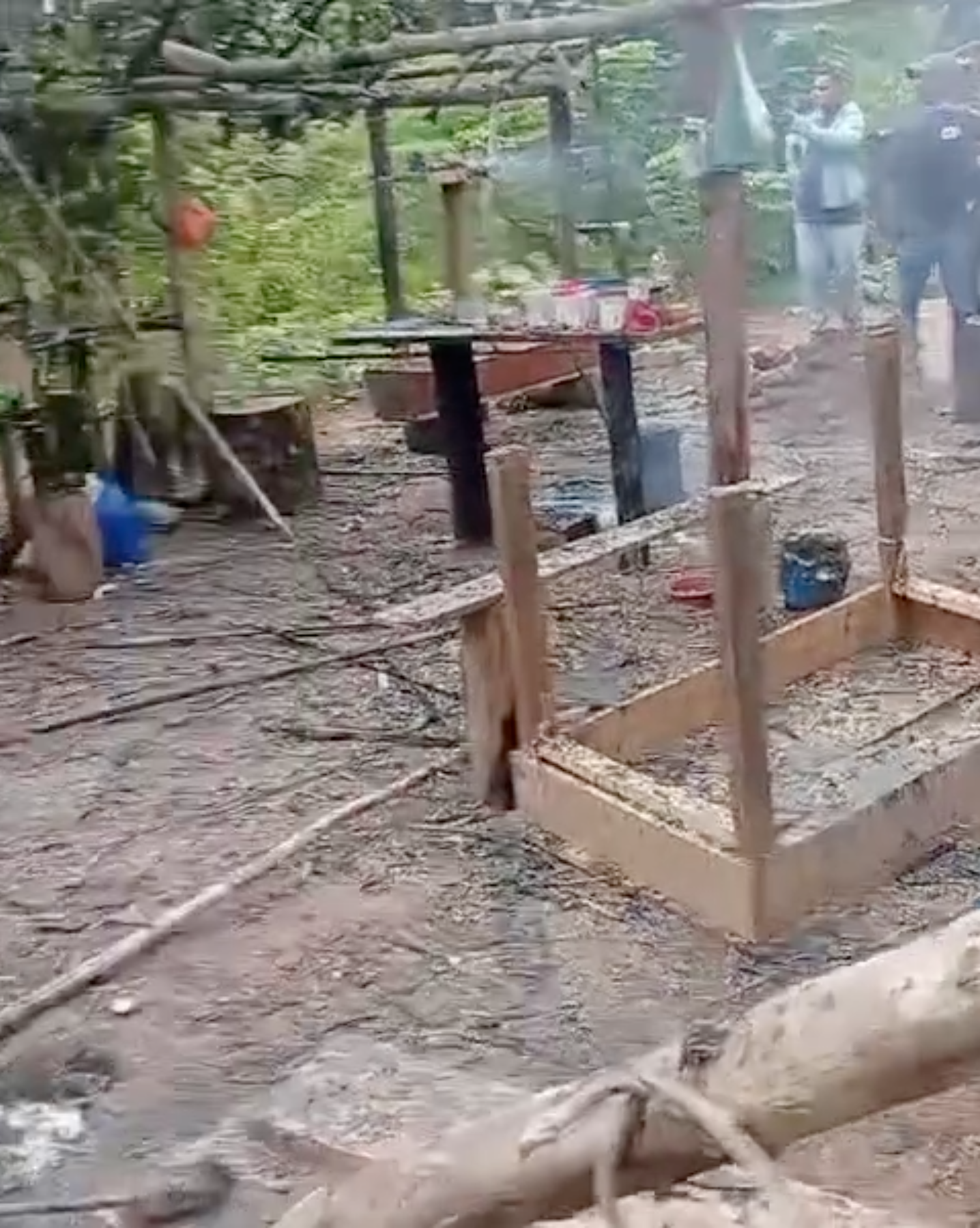 Violência no Campo: Comunidade é atacada por grupos armados no sudeste do Pará