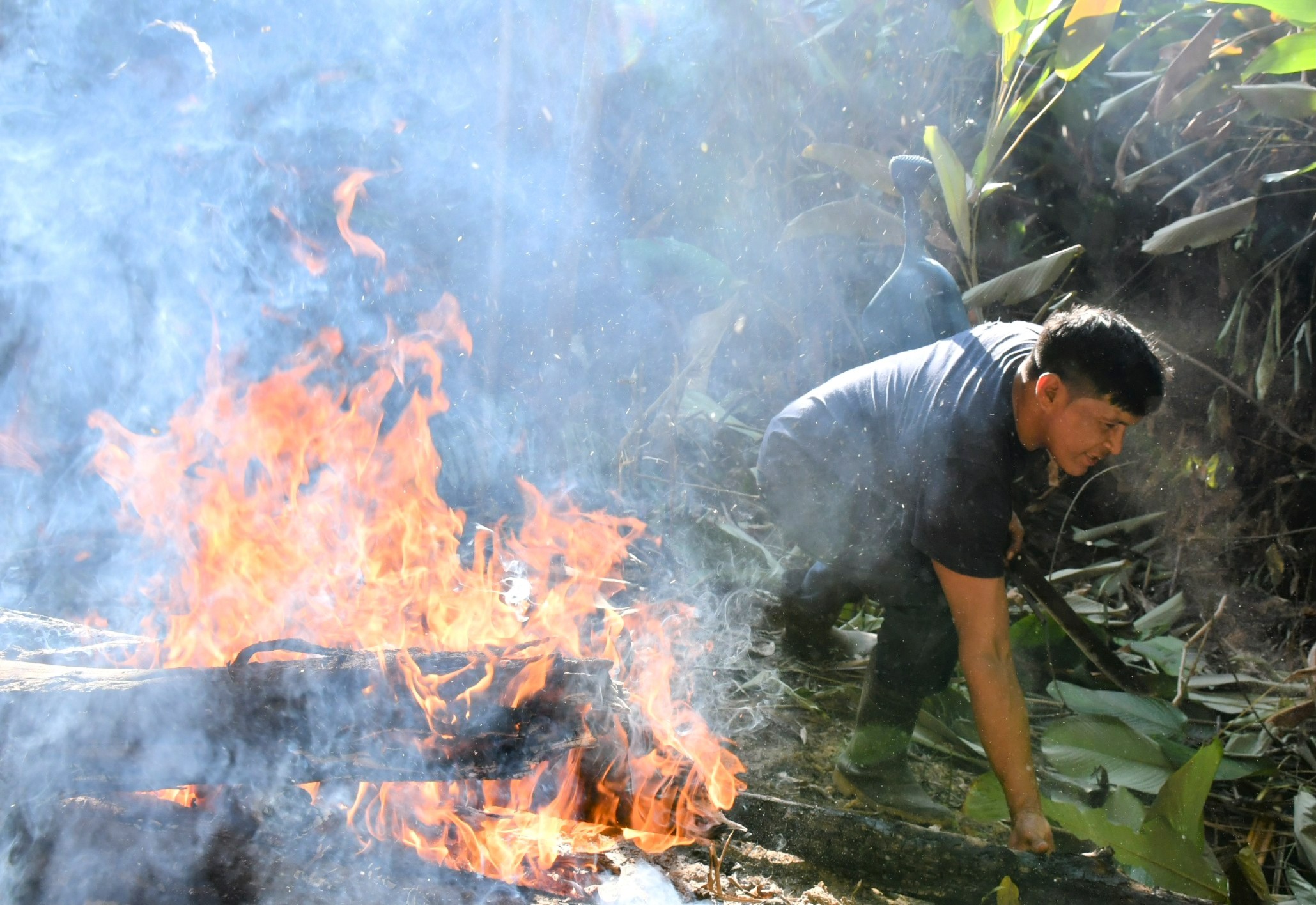 Incêndios, desmatamento ilegal e violência: Amazônia Legal concentra mais da metade dos conflitos no campo brasileiro em 2024