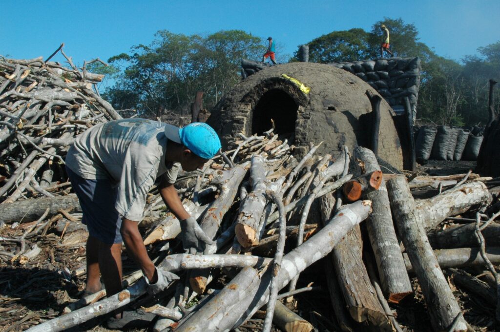 TEMPESTADE EM TORNO DA LISTA SUJA: RAZÕES DE UMA DISPUTA