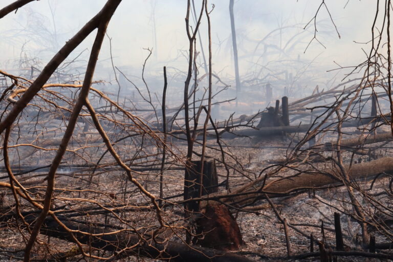 PL da Devastação pode flexibilizar licenciamento ambiental e enfraquecer ações dos órgãos públicos, na contramão dos esforços globais dos povos pela preservação dos territórios e da natureza. Foto: Raniere Roseira / CPT-MA