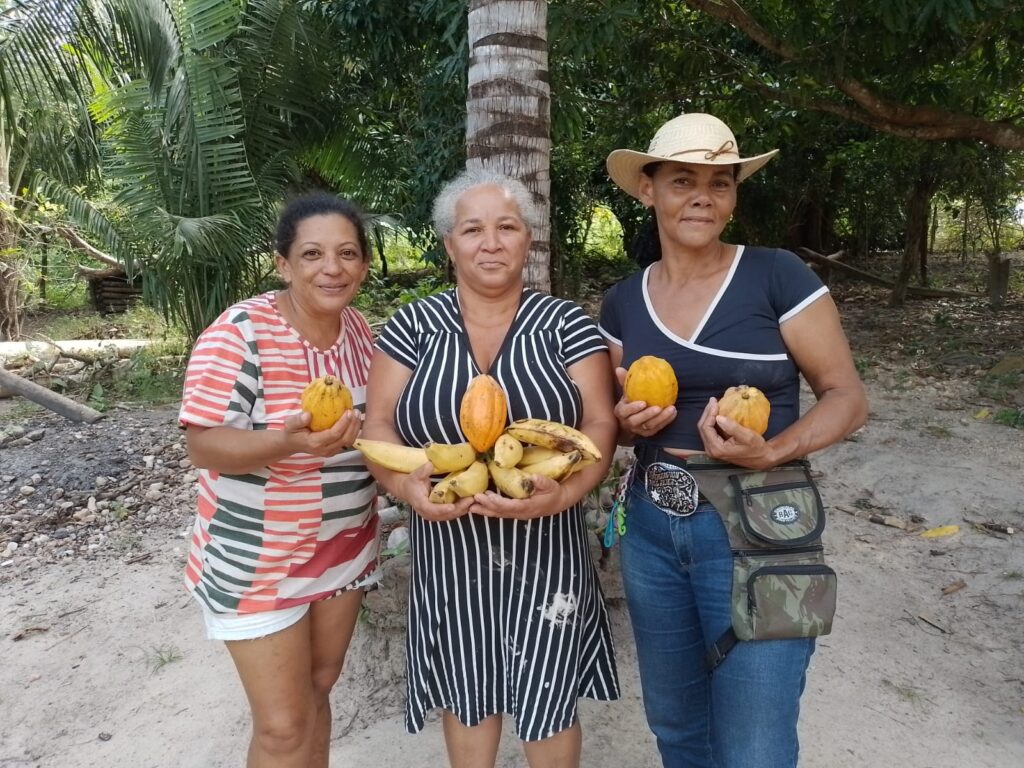 A força das mulheres do Cerrado, comercialização e valorização de suas produções 