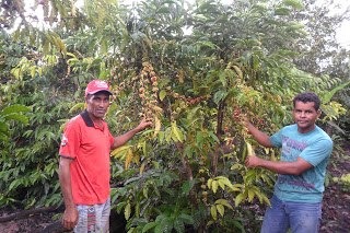 Pequenos agricultores e agricultoras já ocupam a área há 30 anos, de forma pacífica e com produção de alimentos. Foto: CPT Rondônia