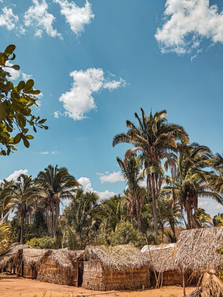 A Comunidade Taboca, no município de Babaçulândia, luta desde 2011 pela criação legal de um Projeto de Assentamento em terras públicas. Foto: CPT Araguaia-Tocantins