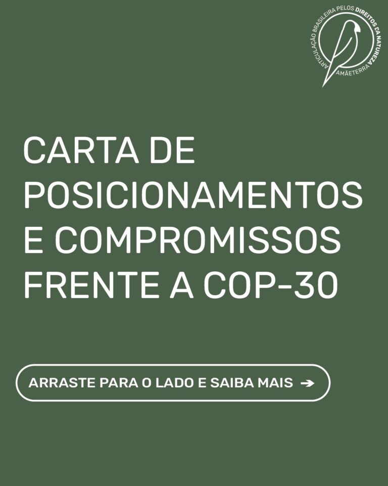 Arte: Articulação Brasileira pelos Direitos da Natureza