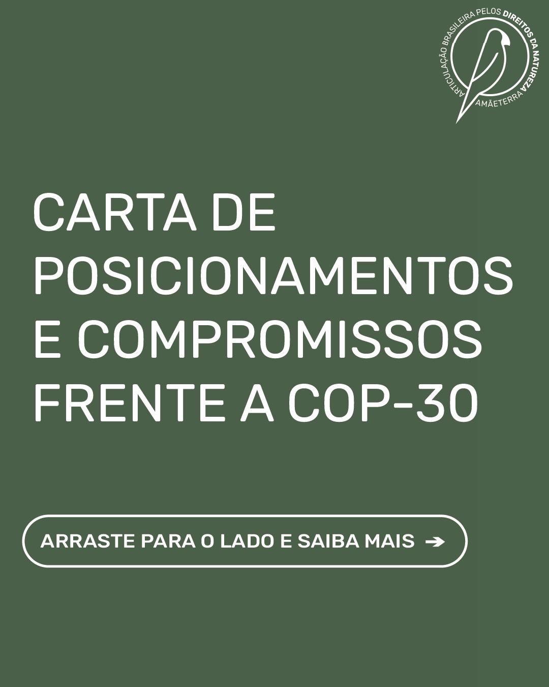 Arte: Articulação Brasileira pelos Direitos da Natureza