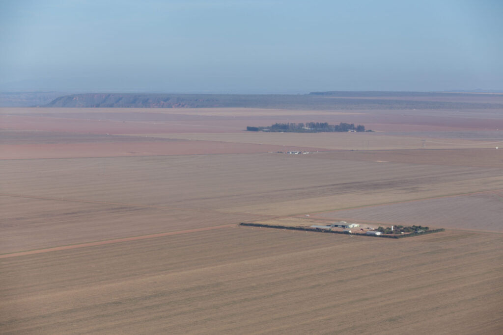 Fazenda desmatada para plantação de soja e algodão. Crédito: Thomas Bauer