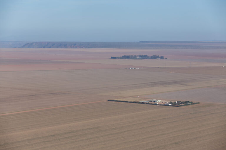 Fazenda desmatada para plantação de soja e algodão. Crédito: Thomas Bauer