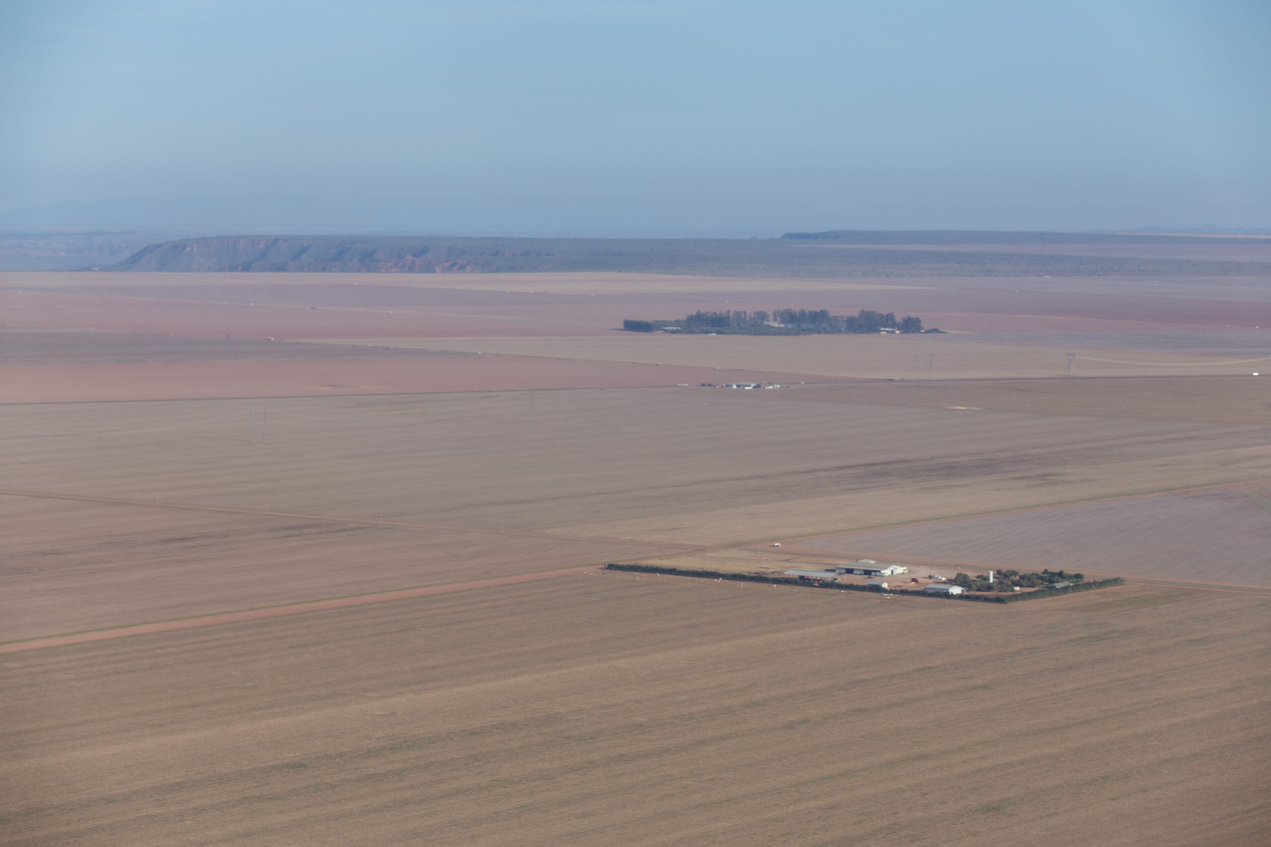 Fazenda desmatada para plantação de soja e algodão. Crédito: Thomas Bauer