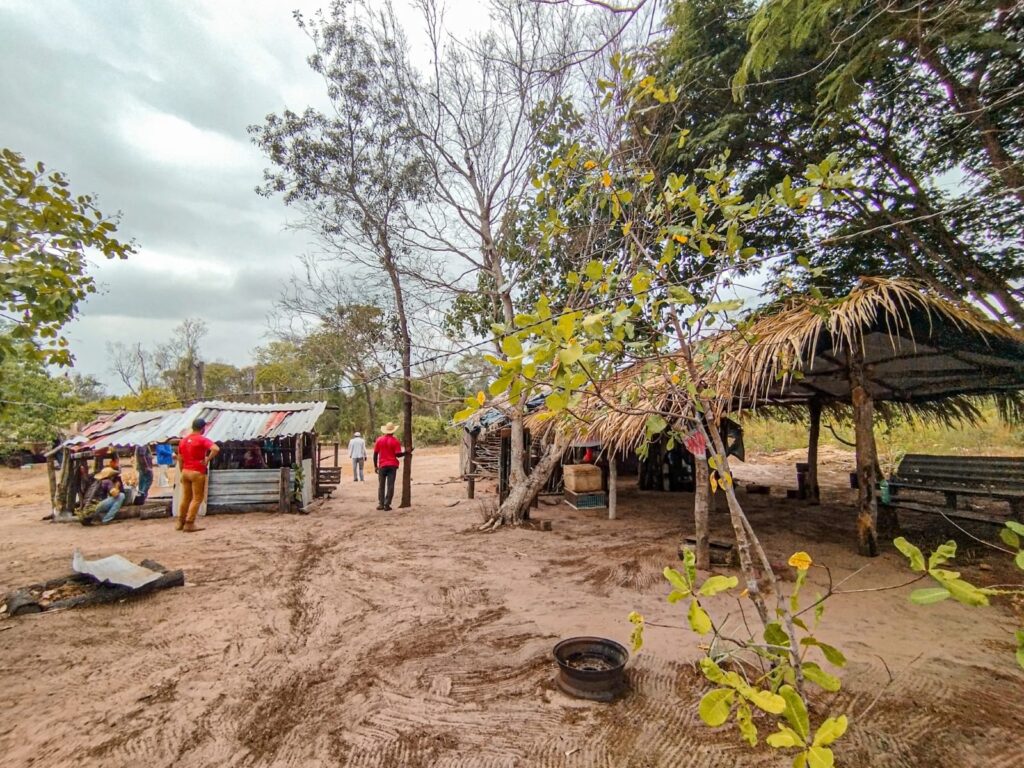 Acampamento Chaparral II: da violência do despejo à resistência organizada na luta pela terra no Tocantins