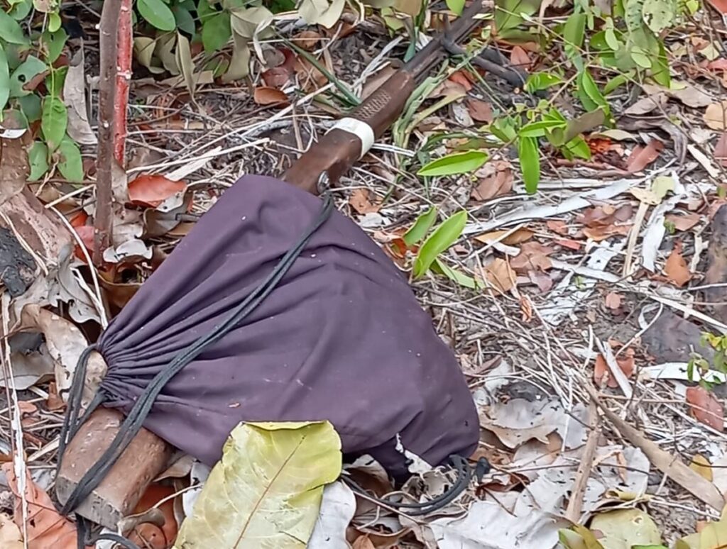 Apesar de denúncias, madeireiros seguem invadindo territórios camponeses em Timbiras (MA)