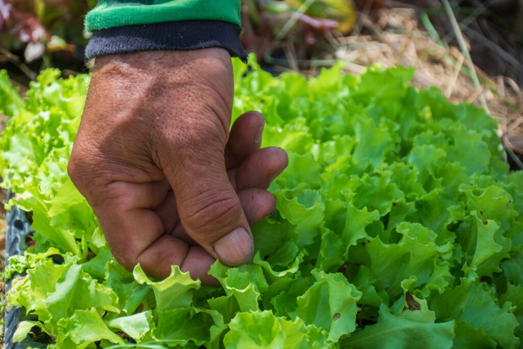Comissão para Ecologia Integral e Mineração (CEEM), em parceria com o Instituto Humanitas Unisinos (IHU), promove ciclo de estudos na próxima quarta-feira (04)