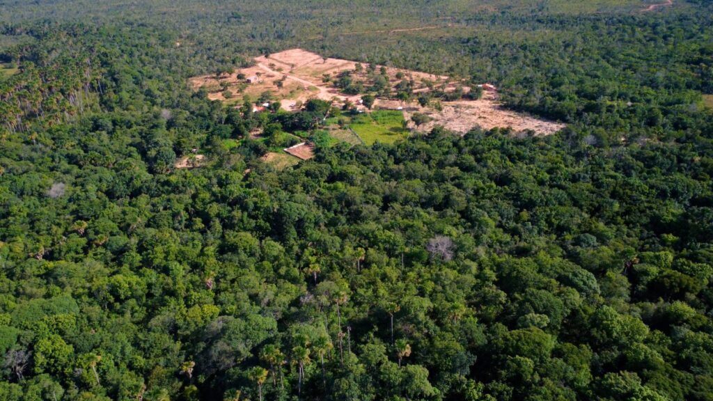 URGENTE: grileiros demandam licença para desmatar e destruir fontes de água no território Grinalda do Ouro