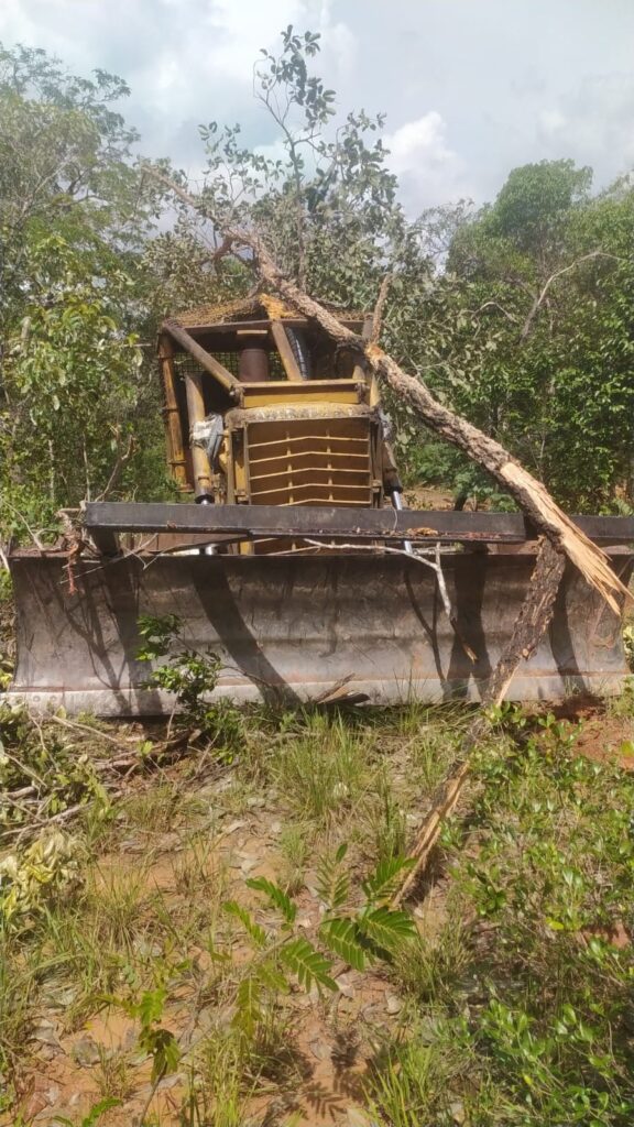 Grilagem, desmatamento e roubo das águas no Cerrado