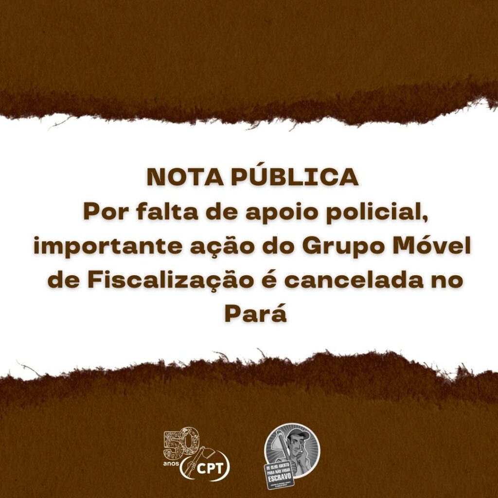 Por falta de apoio policial, importante ação do Grupo Móvel de Fiscalização é cancelada no Pará