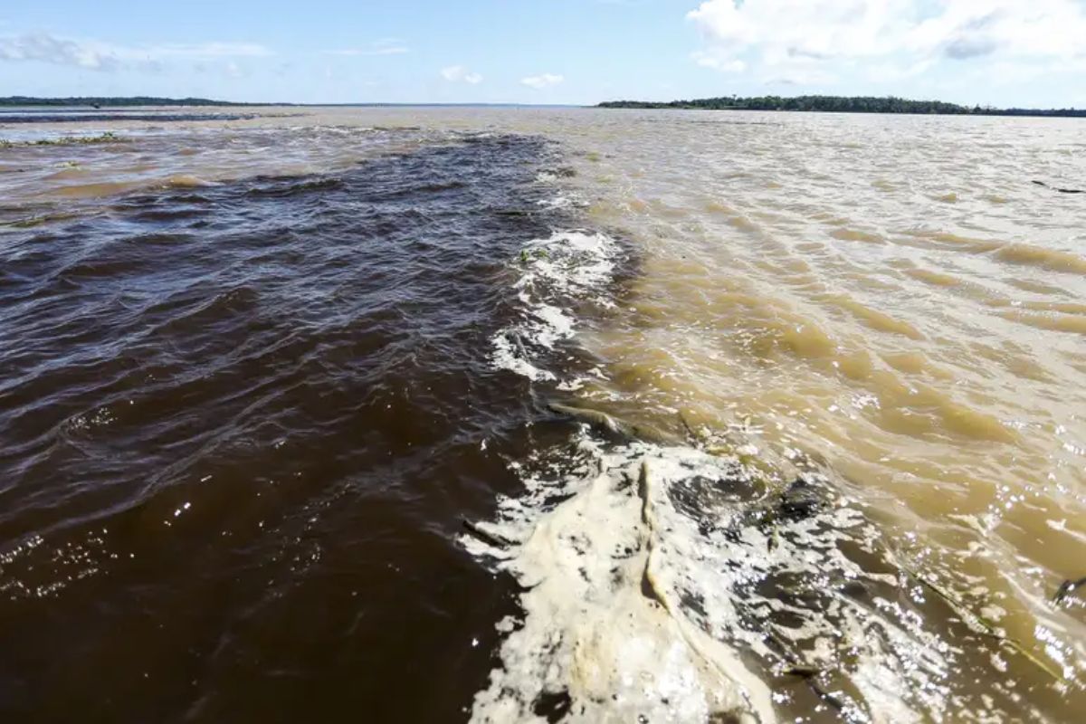 Após a concentração, a Romaria das Águas do Amazonas segue em barqueata para o Encontro das Águas, confluência de cerca de 7 km entre os rios Negro e Solimões. Foto: Marcelo Camargo/Agência Brasil