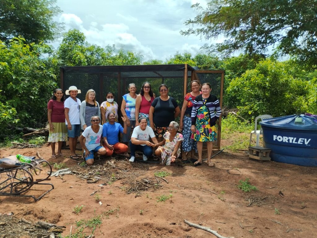 Da união das mulheres à Escola dos Ventos, comunidades rompem cercas e tecem teias no Nordeste*
