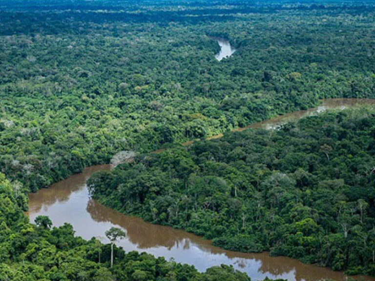 Na decisão, o STF entendeu que a lei do Tocantins violava a Constituição, que determina a destinação de terras públicas para reforma agrária. Foto: Felipe Werneck/IBAMA