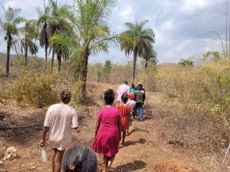 Em visita de inspeção judicial da Vara Agrária de Imperatriz, a comunidade Pau Amarelo mostra, à frente, o local onde no passado havia roça. Foto: TJMA