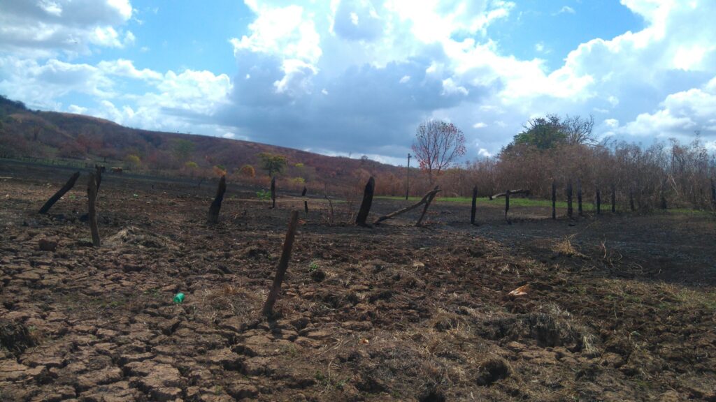 O objetivo do Tribunal é denunciar crimes socioambientais na fronteira de expansão agrícola conhecida como MATOPIBA, composta pelos estados do Maranhão, Tocantins, Piauí e Bahia. Foto: Raniere Roseira