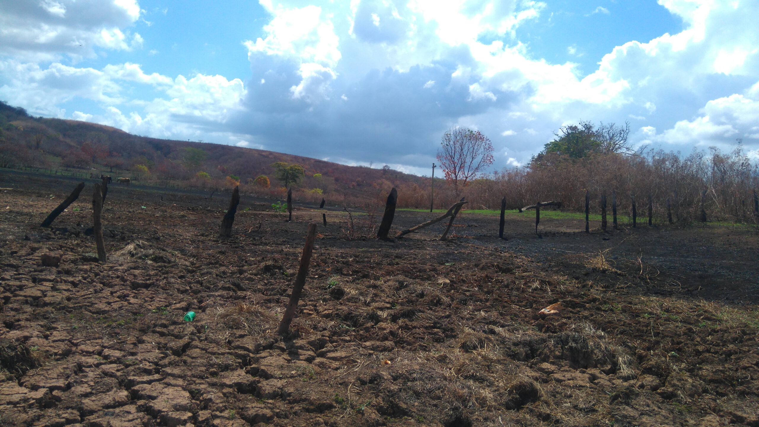 O objetivo do Tribunal é denunciar crimes socioambientais na fronteira de expansão agrícola conhecida como MATOPIBA, composta pelos estados do Maranhão, Tocantins, Piauí e Bahia. Foto: Raniere Roseira