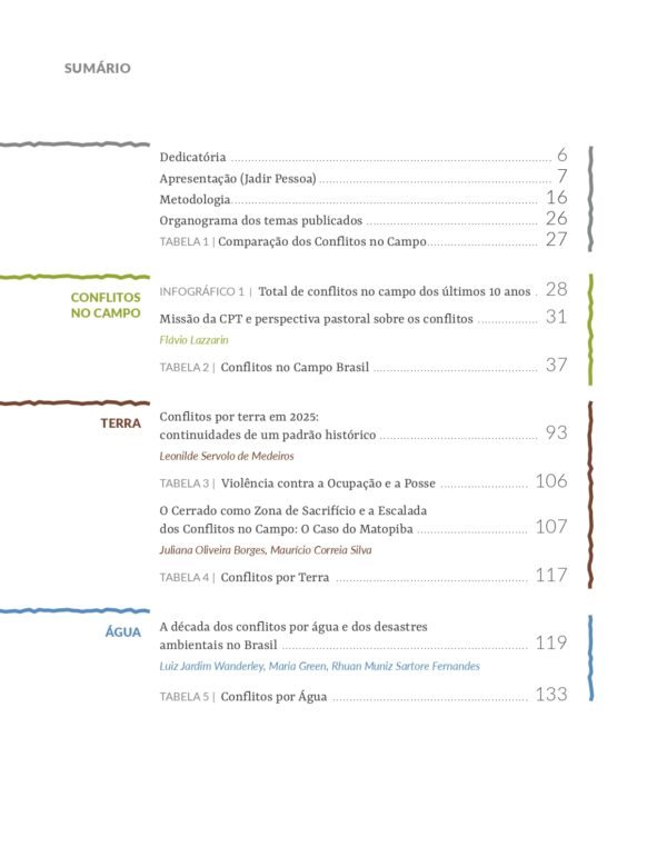 Conflitos no Campo Brasil 2025