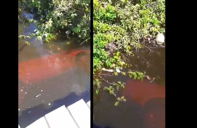 Com os tiros, a vítima perdeu o controle da direção da caminhonete e caiu no igarapé. Massacre ocorreu na região conhecida como Amacro, que concentra muita tensão e crimes ligados à disputa por terra. Vídeo registrado pela comunidade