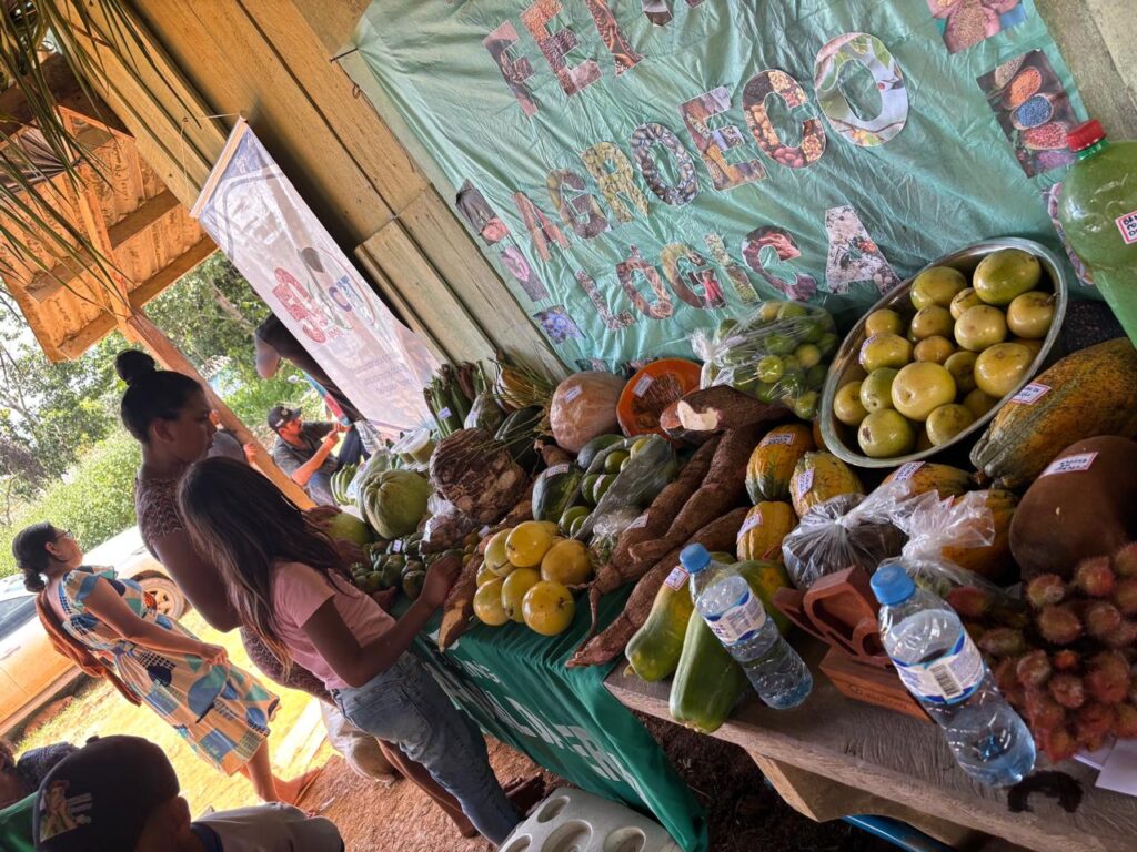 Ao total, foram reunidas 118 espécies de diferentes variedades, facilitando a troca com vizinhas e vizinhos. Foto: CPT Alto Xingu