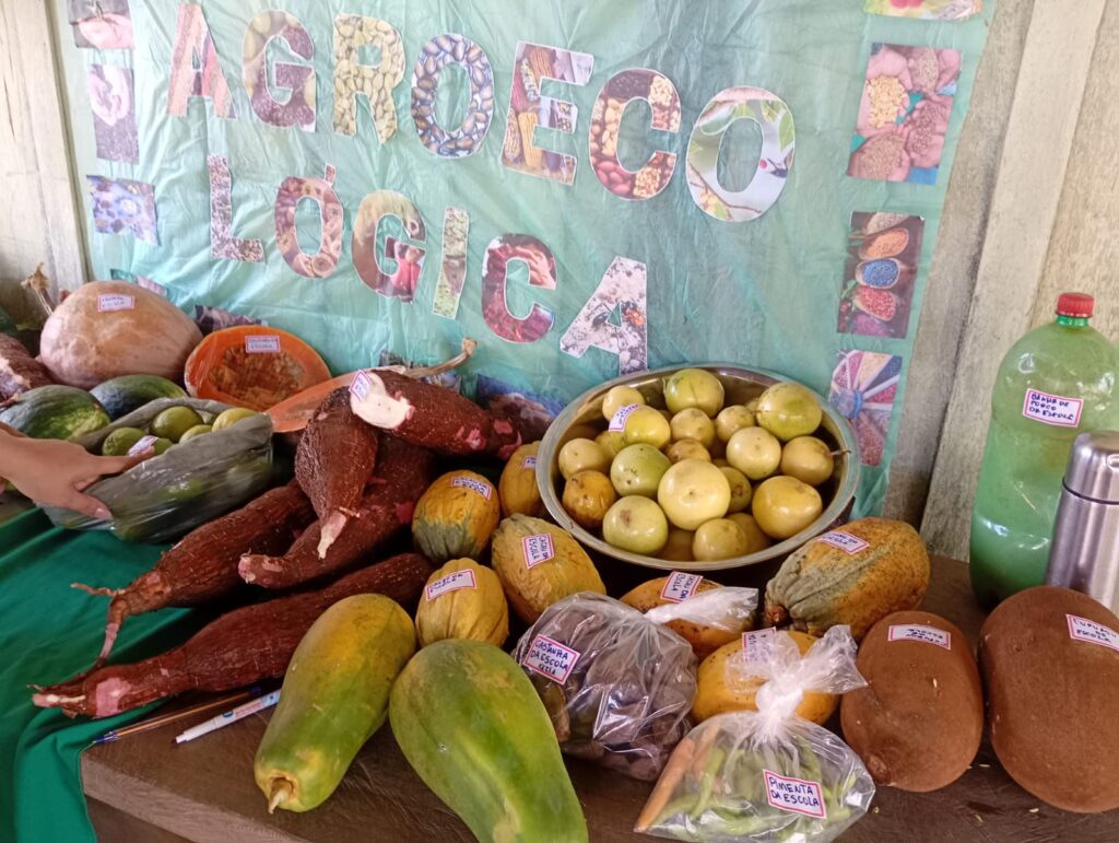 Estudantes da Escola Novoeste contribuíram levando frutas e outros produtos da produção familiar. Foto: CPT Alto Xingu