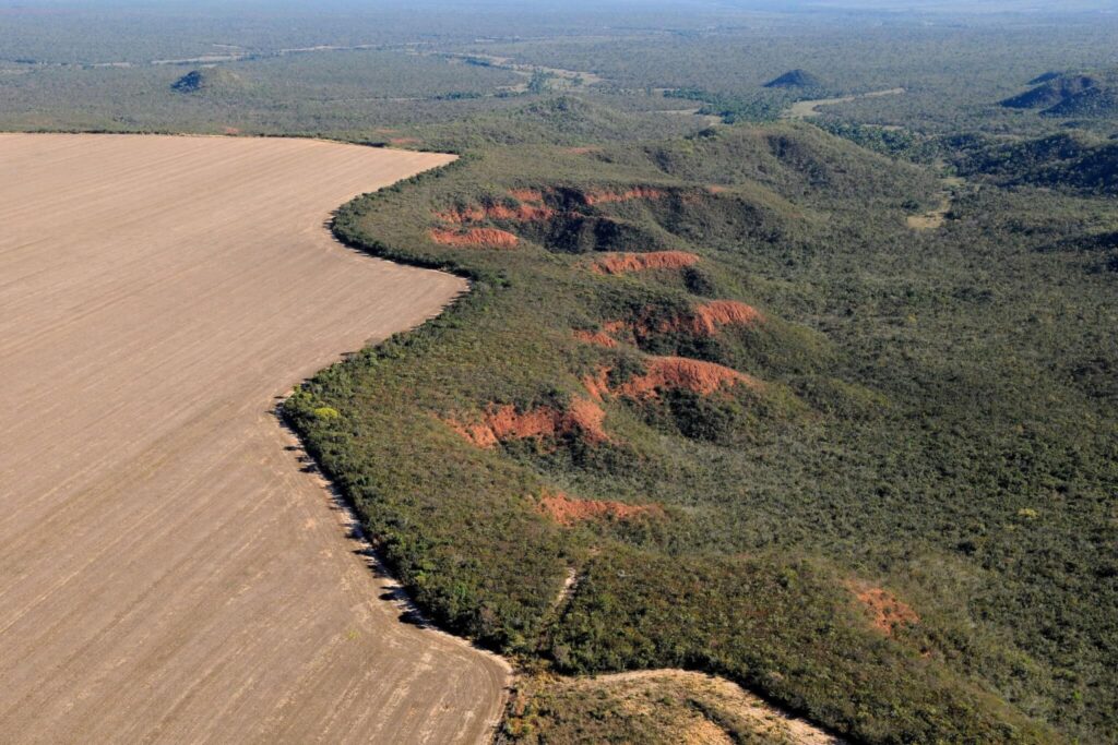 Plataforma Socioambiental expõe relação entre commodities e violações de direitos no campo brasileiro
