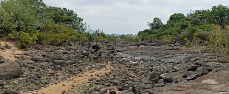 Xingu Hoje. Foto: André Sawakuchi / Instituto GeoCiencias da USP